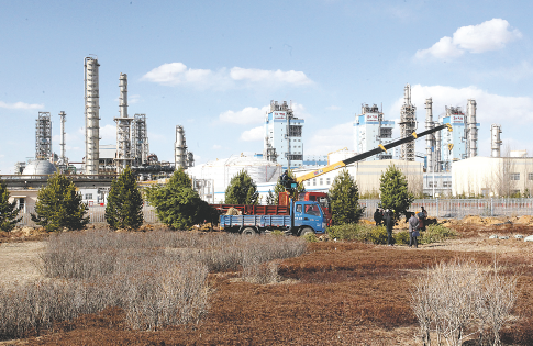 体育足球竞彩平台app 手机界面展示